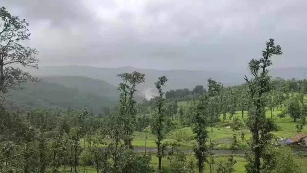Best Time to Visit Wilson Hills