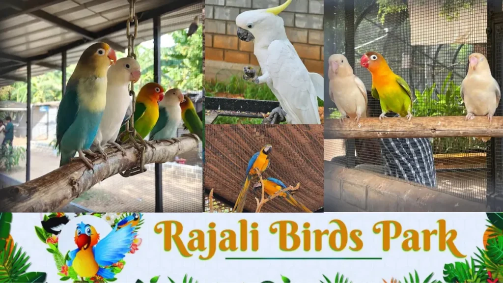 Rajali Birds Park Ticket Price