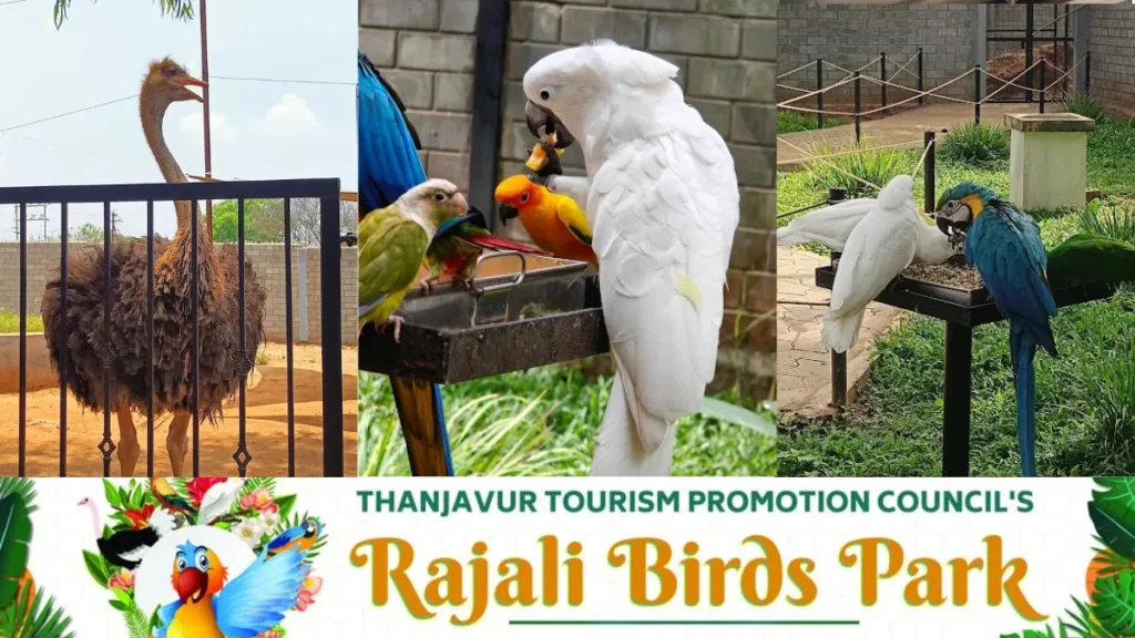 Rajali Bird Park Thanjavur