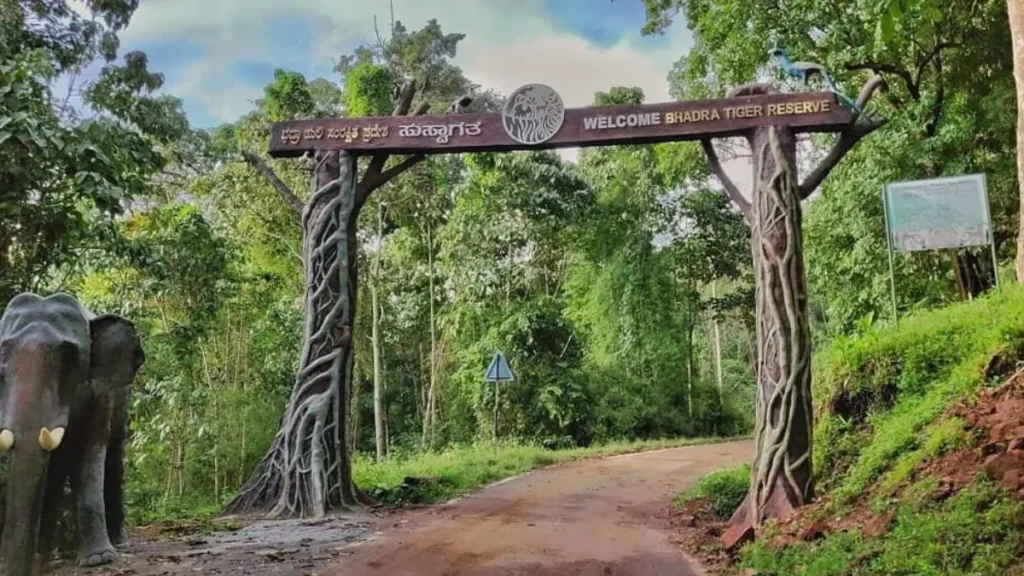 Bhadra Tiger Reserve