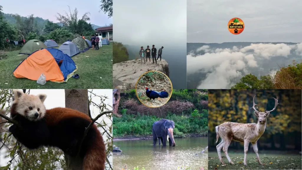 Balpakram National Park is Located