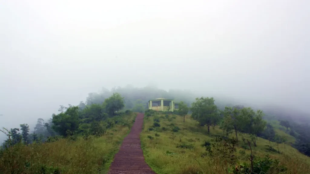 Best Time to Visit Wilson Hills