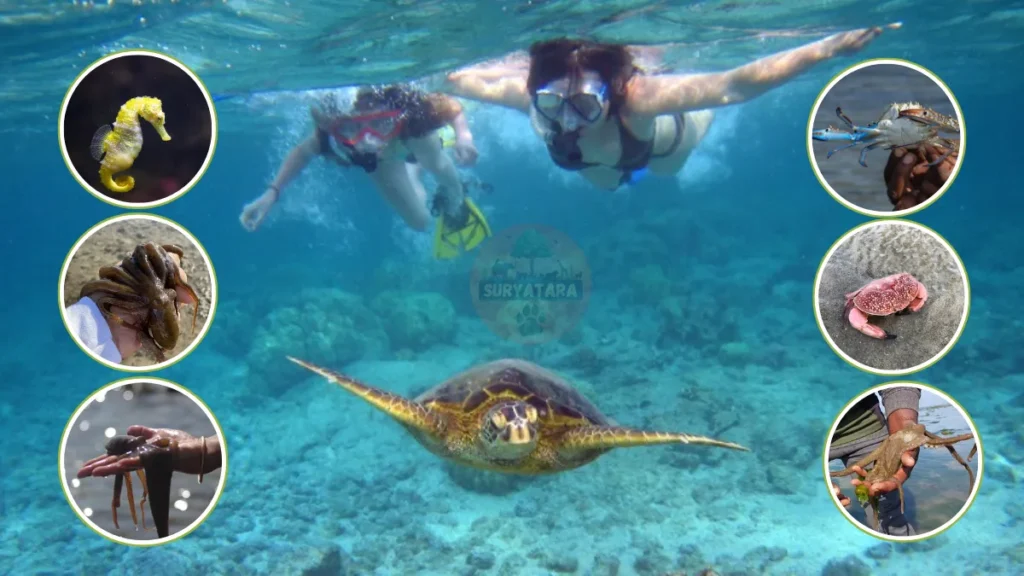 Narara Marine Life Sanctuary