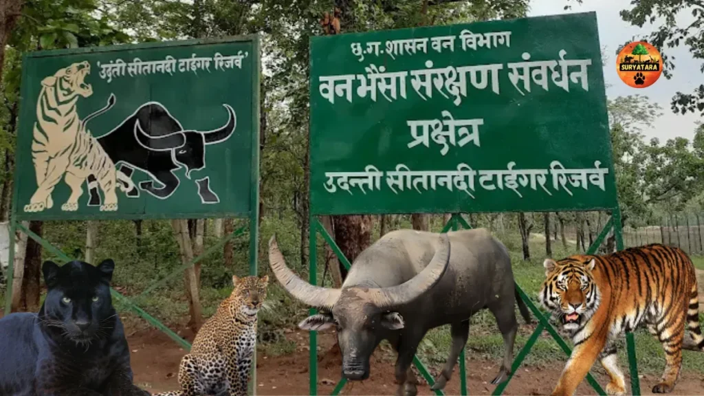 Udanti-Sitanadi Tiger Reserve