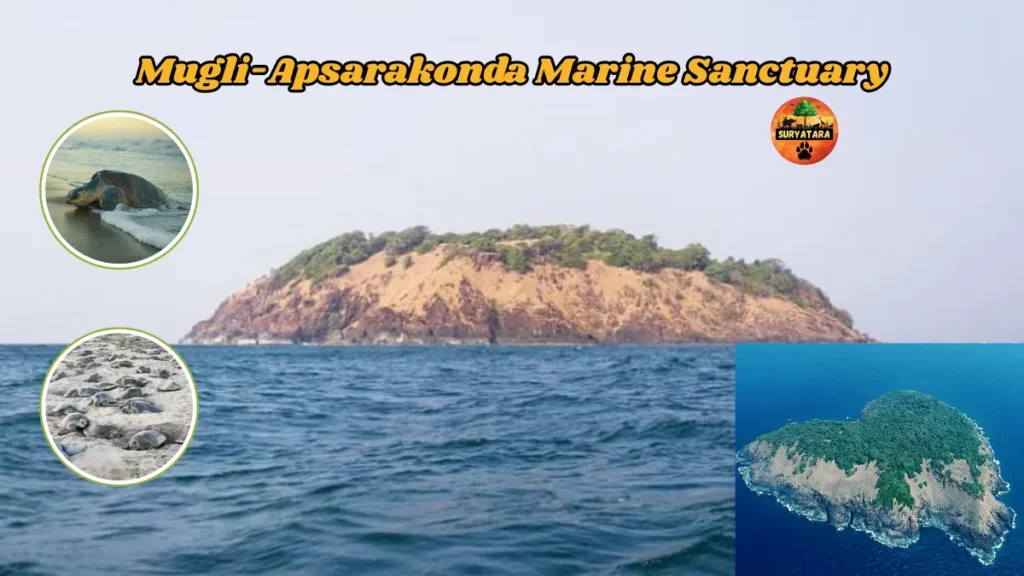 Mugli-Apsarakonda Marine Sanctuary
