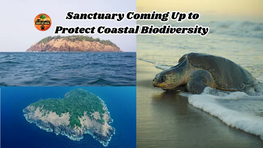 Karnataka's First Marine Life Sanctuary Coming Up