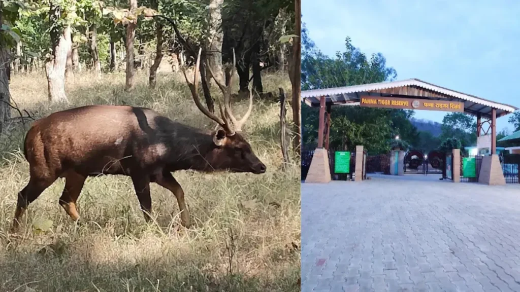 Panna National Park