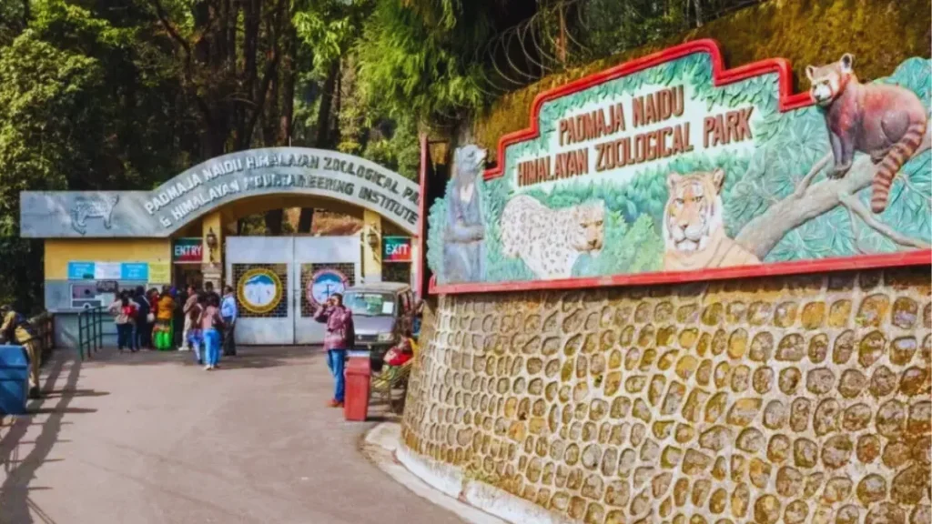 Padmaja Naidu Himalayan Zoological Park Tickets-Timings: Complete Visitor Guide
