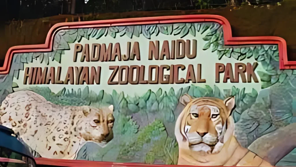 Padmaja Naidu Himalayan Zoological Park Tickets-Timings