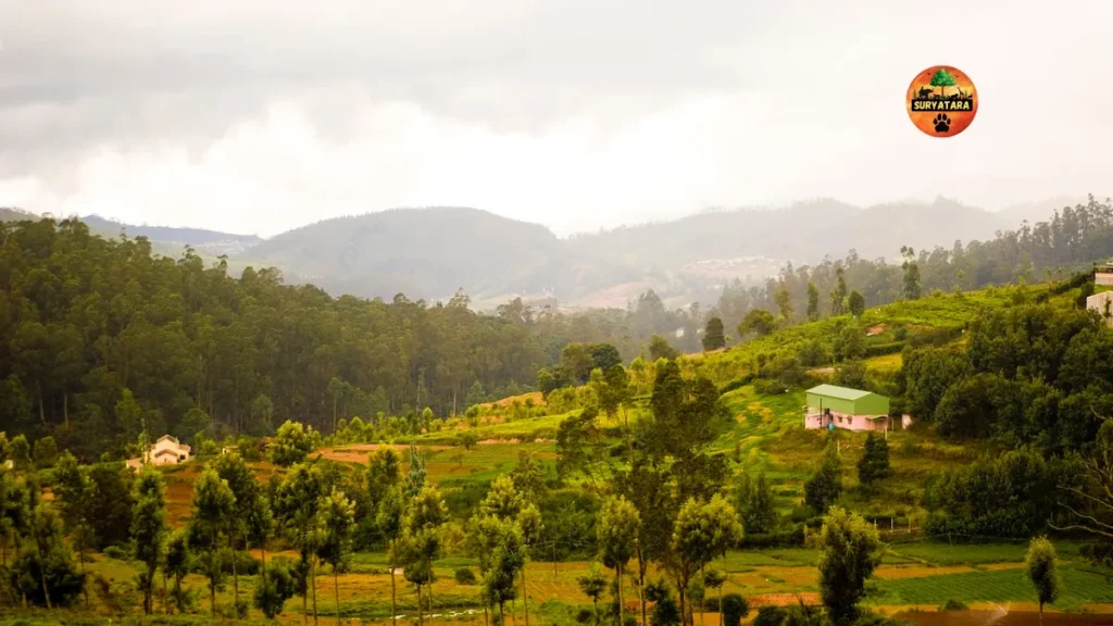 Top 10 Tourist Places in Tamilnadu