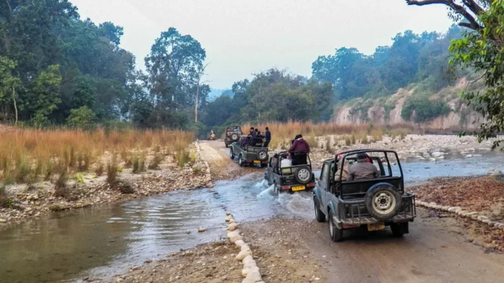 Jim Corbett Jeep Safari