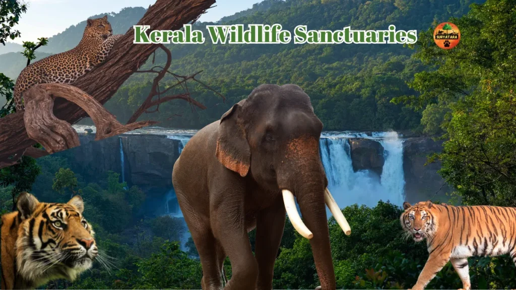Kerala Wildlife Sanctuaries