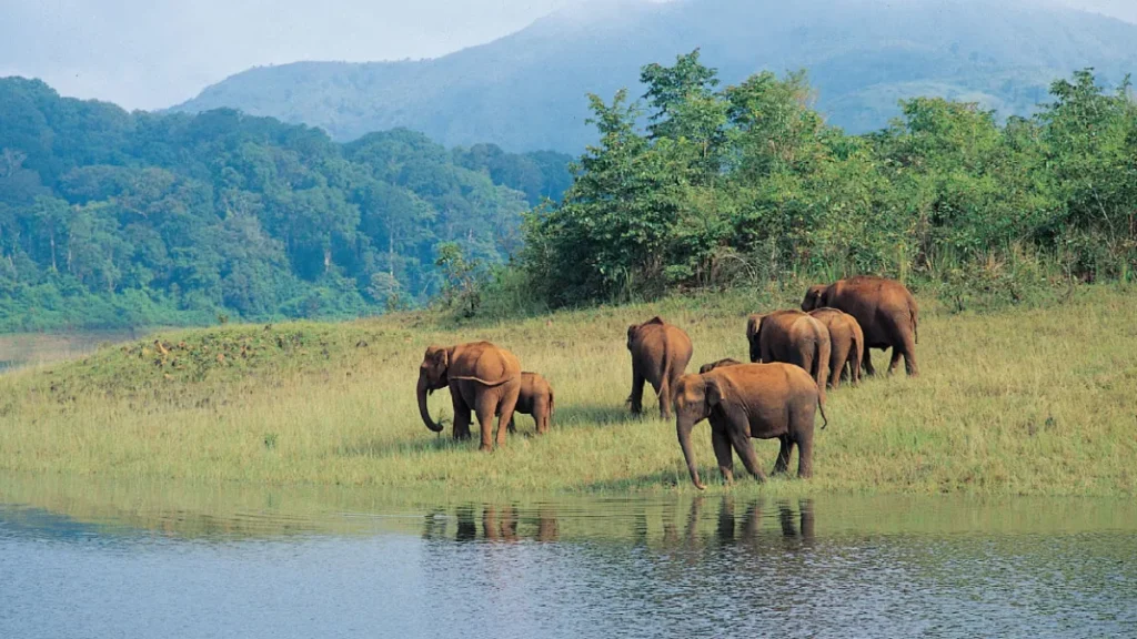 Kerala Wildlife Sanctuaries
