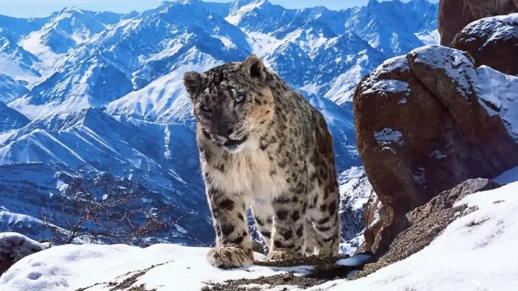 Gya-Miru Wildlife Sanctuary