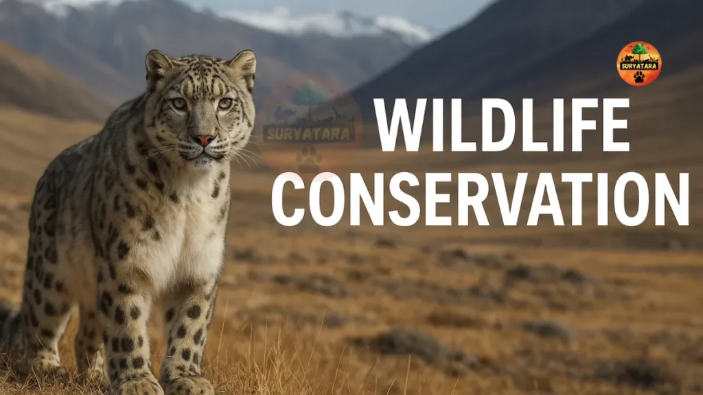 Wildlife Conservation