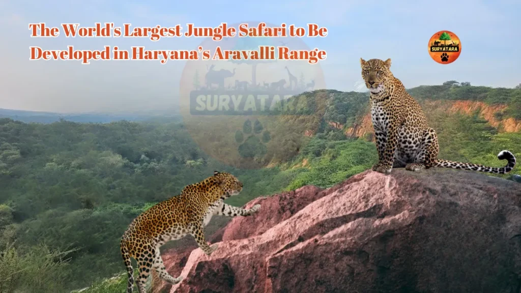 World's Largest Jungle Safari