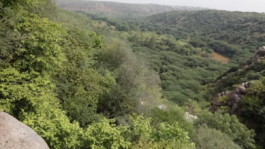 World's Largest Jungle Safari 