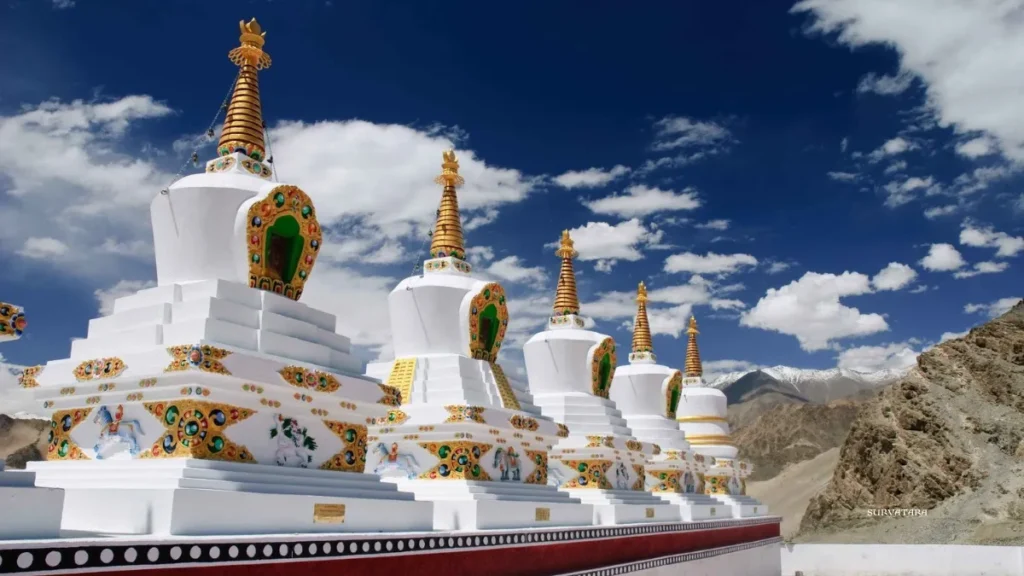 Top 10 National Park in Ladakh