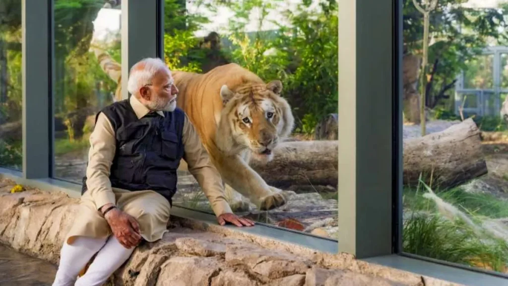 Vantara Jamnagar Zoo Ticket Price Entry Details 