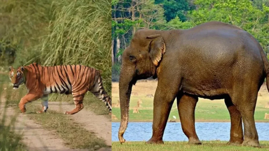 Ntangki National Park