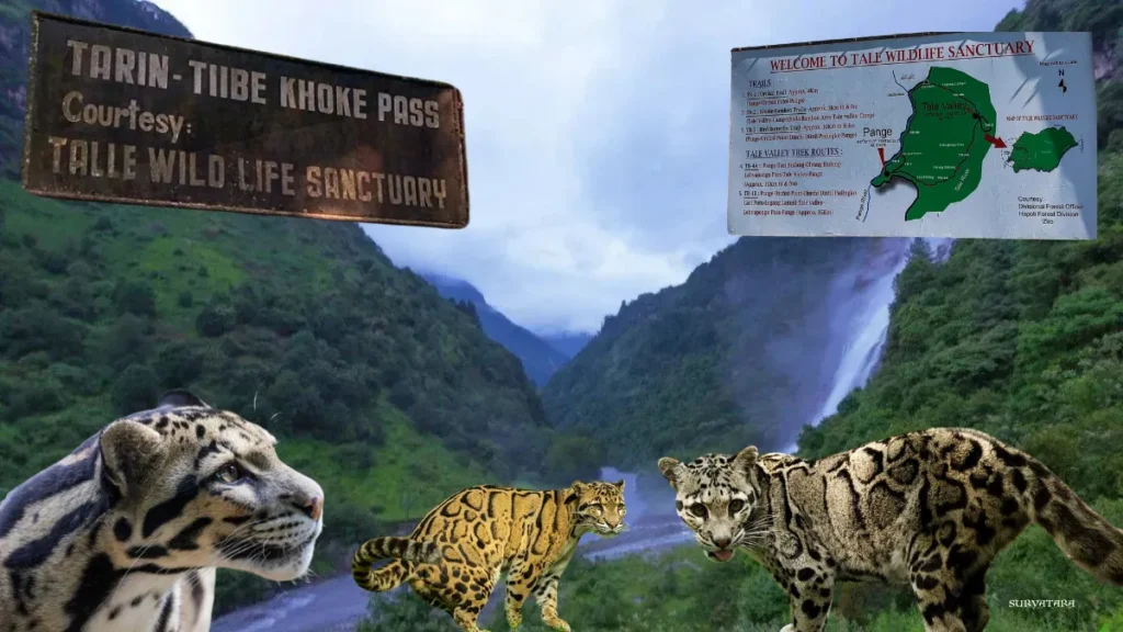 Talley Valley Wildlife Sanctuary