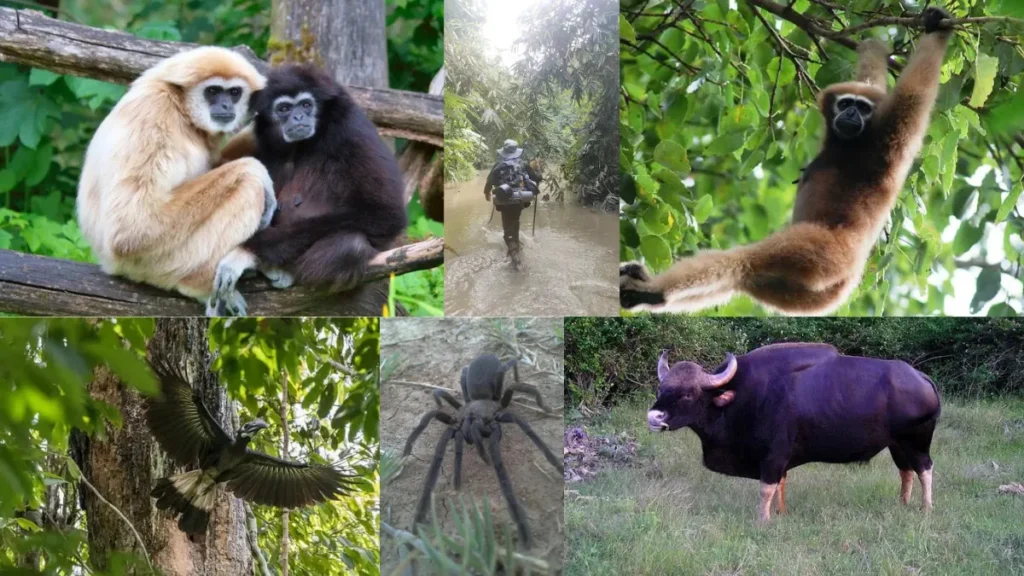 Ntangki National Park