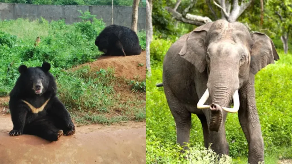 Ntangki National Park
