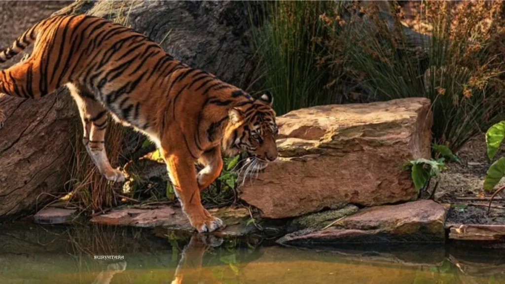 Dibang Wildlife Sanctuary