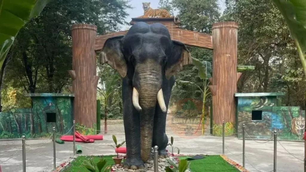 Nameri National Park