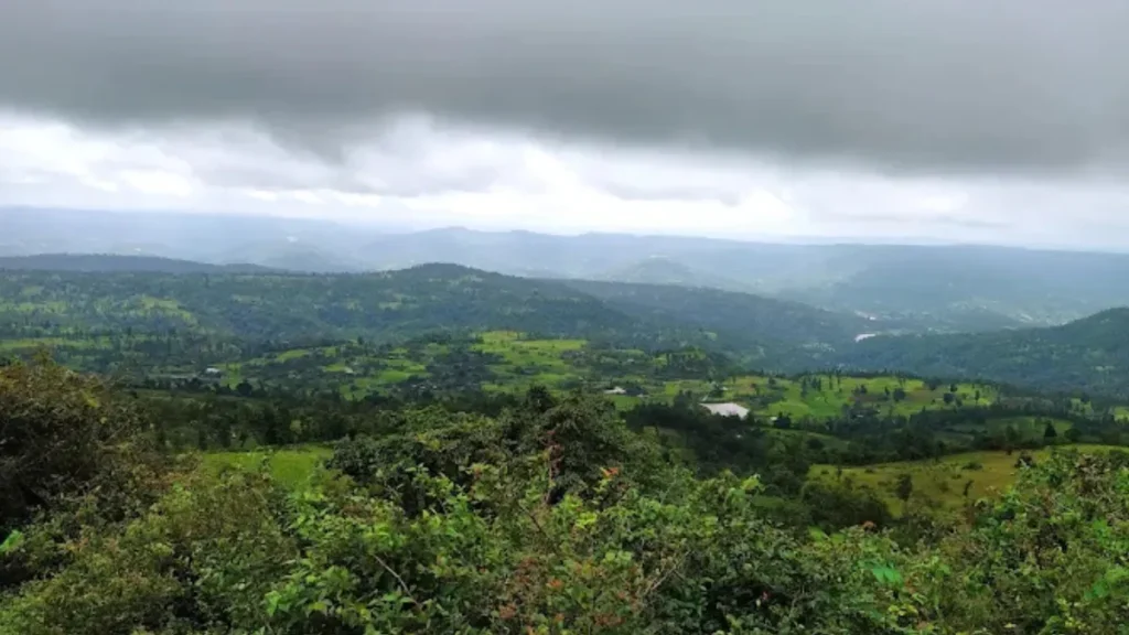 Wilson Hills