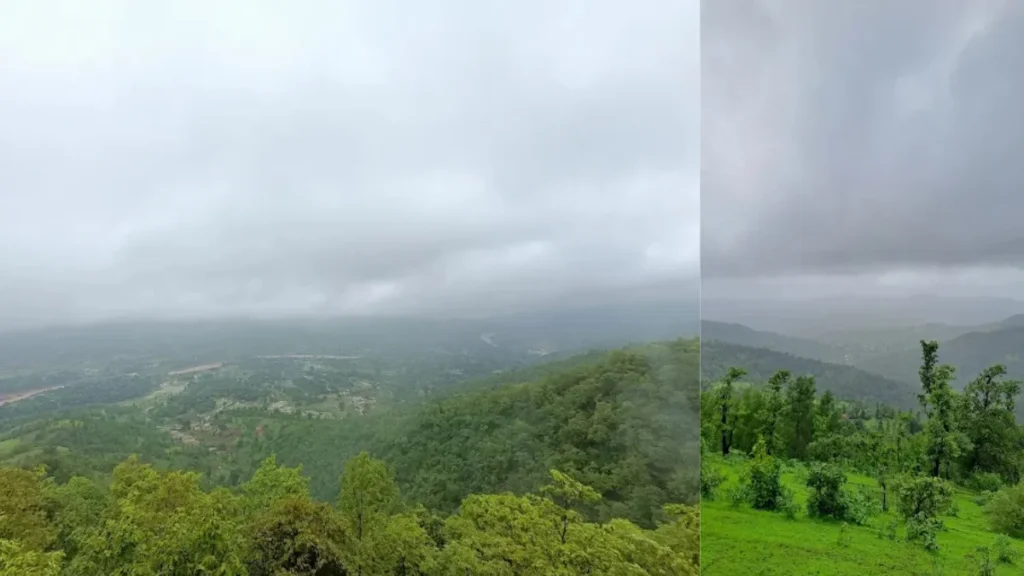Wilson Hills