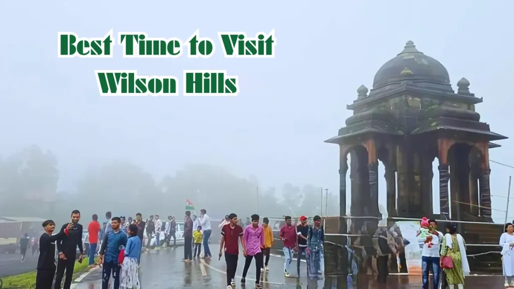 Best Time to Visit Wilson Hills