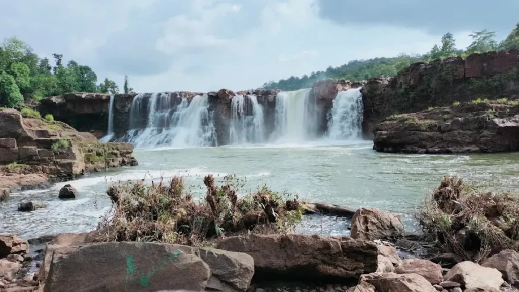 Vansda National Park