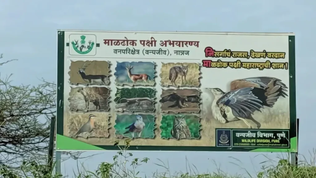 Great indian bustard wildlife sanctuary