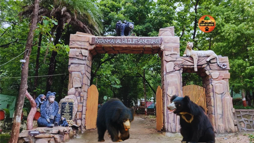 Ratanmahal Sloth Bear Sanctuary