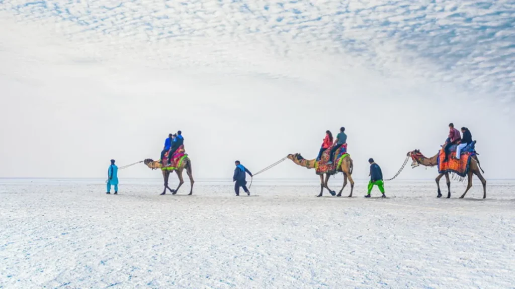 Rann Utsav Online Booking 2025-2026