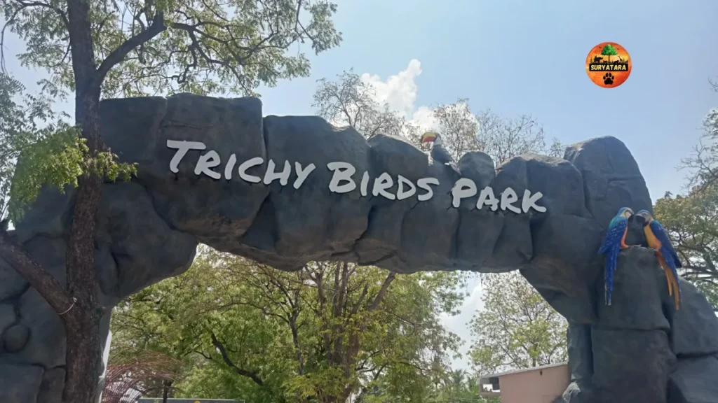 Trichy Birds Park Tickets 