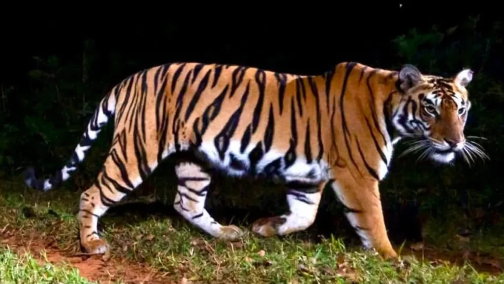 Simlipal National Park Kahan Hai