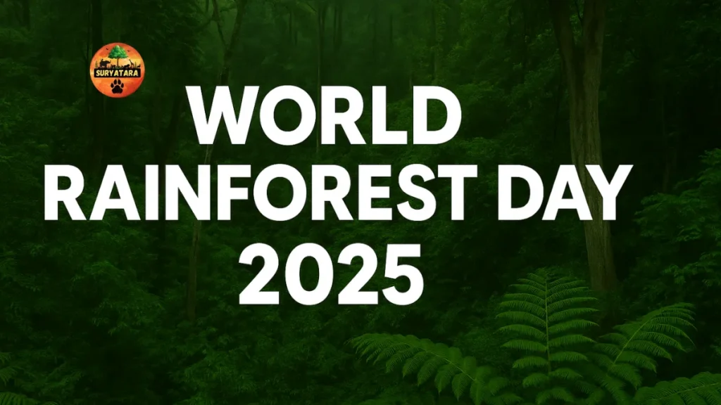 World Rainforest Day 2025