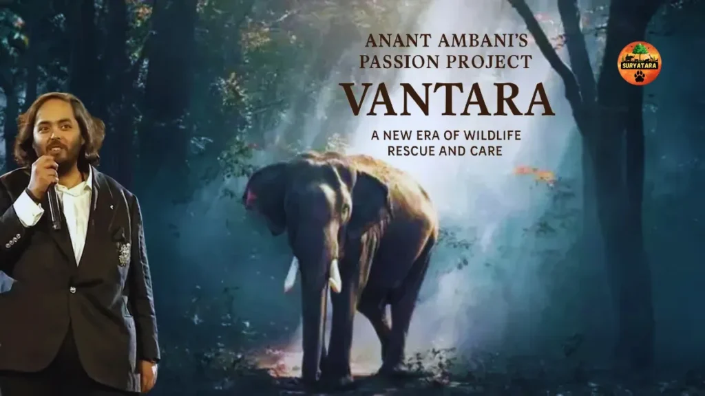 Vantara