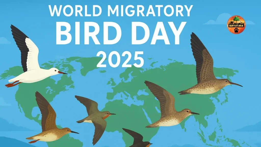 World Migratory Bird Day