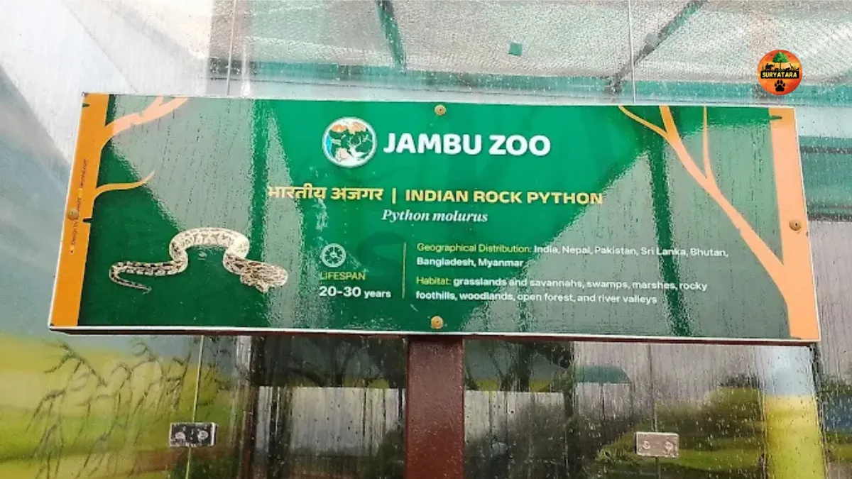 Jambu Zoo