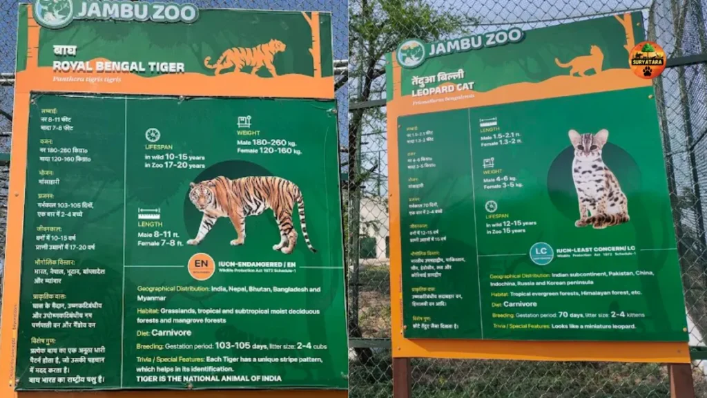 Jambu Zoo Ticket Price