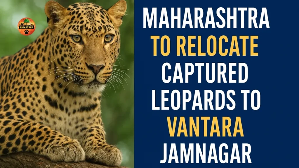 Vantara Jamnagar