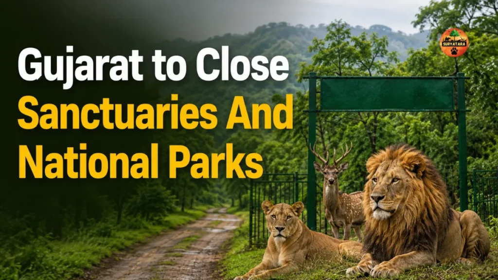 Sanctuaries And National Parks