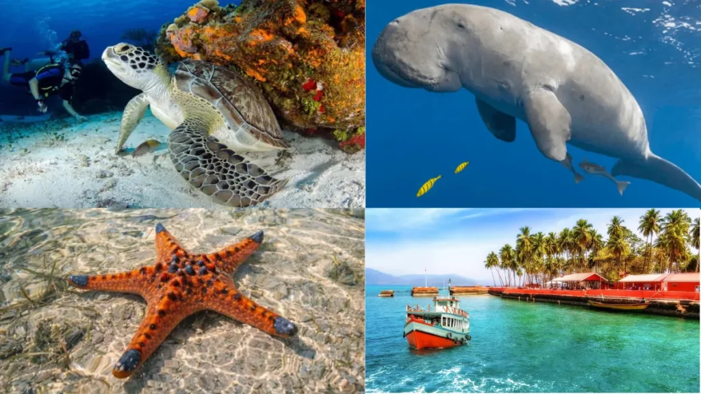 Rani Jhansi Marine National Park
