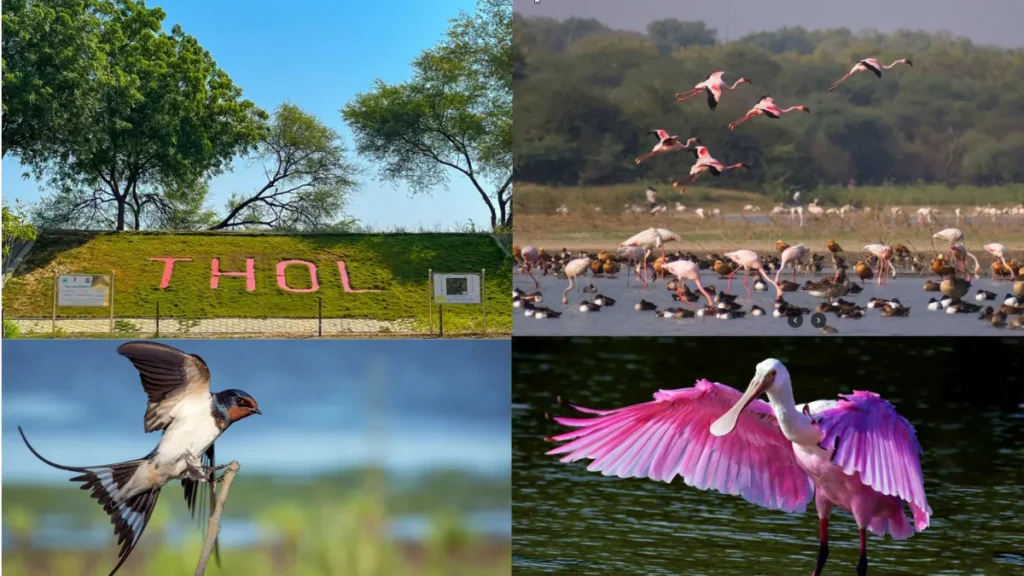 Thol Lake Sanctuary